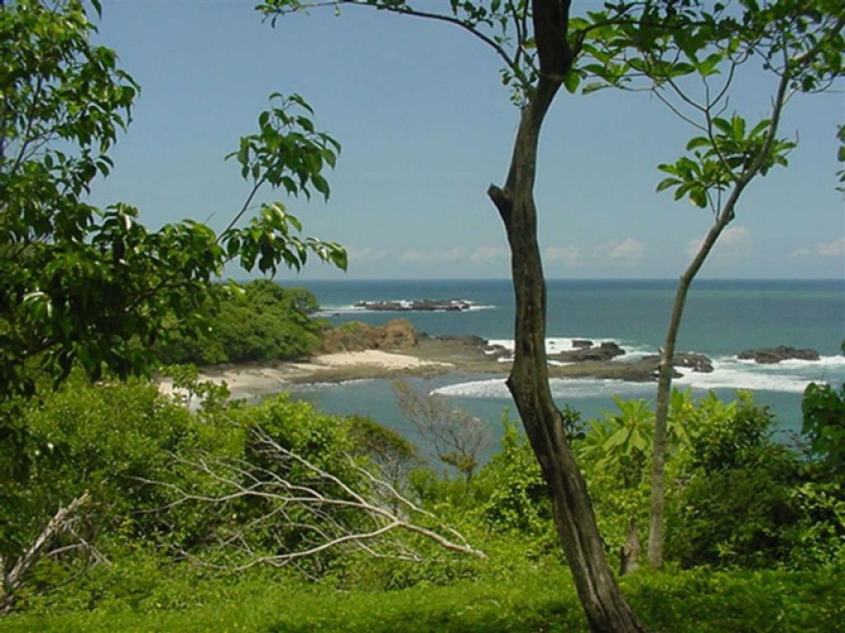 Guanacaste Costa Rica,  San Juanillo, 11801